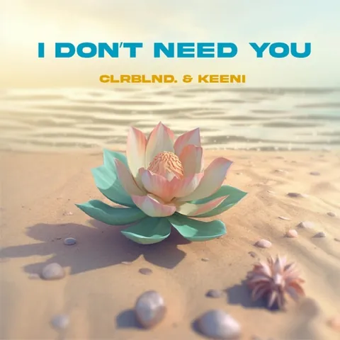 I Don't Need You cover art