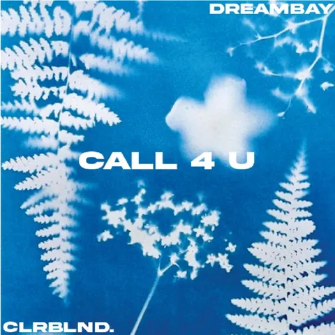 CALL4U cover art
